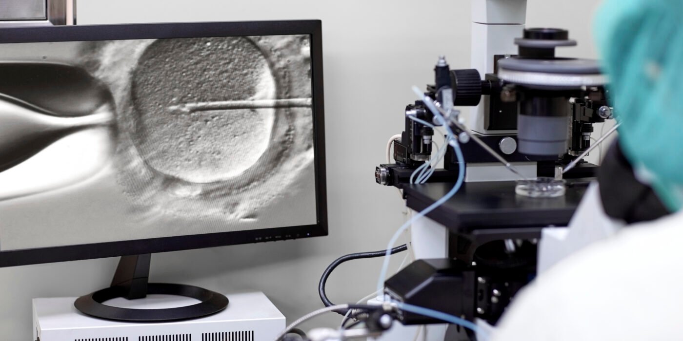 A microscopic image of intracytoplasmic sperm injection (ICSI) displayed on a computer screen, where the needle is in the process of injecting sperm into the egg cell, with laboratory equipment and a microscope visible in the background.