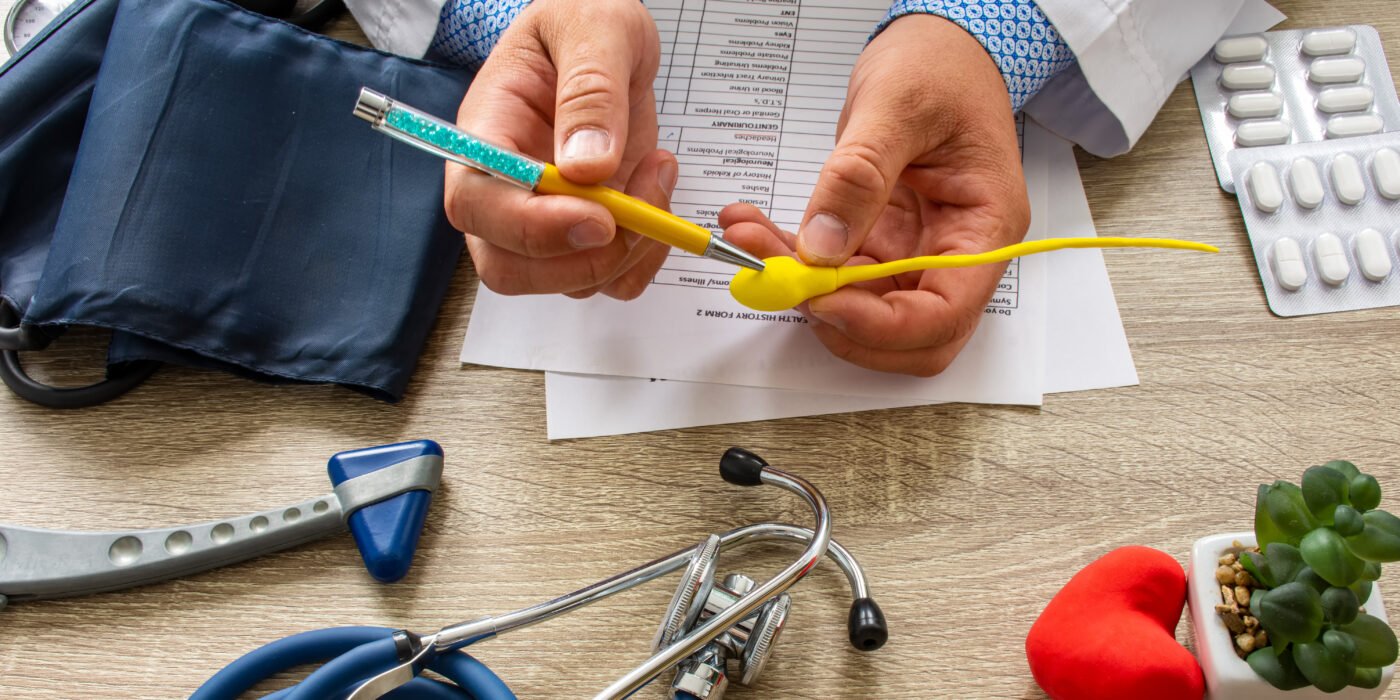 The doctor holds a model of a sperm cell and points to its parts with a tool, while medical equipment such as a stethoscope, blood pressure monitor, tablets, and paper forms are on the table.