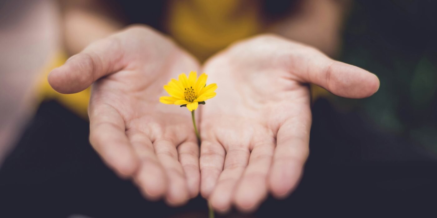 An open hand holding a yellow flower - symbol of psychological support in the in vitro fertilization process