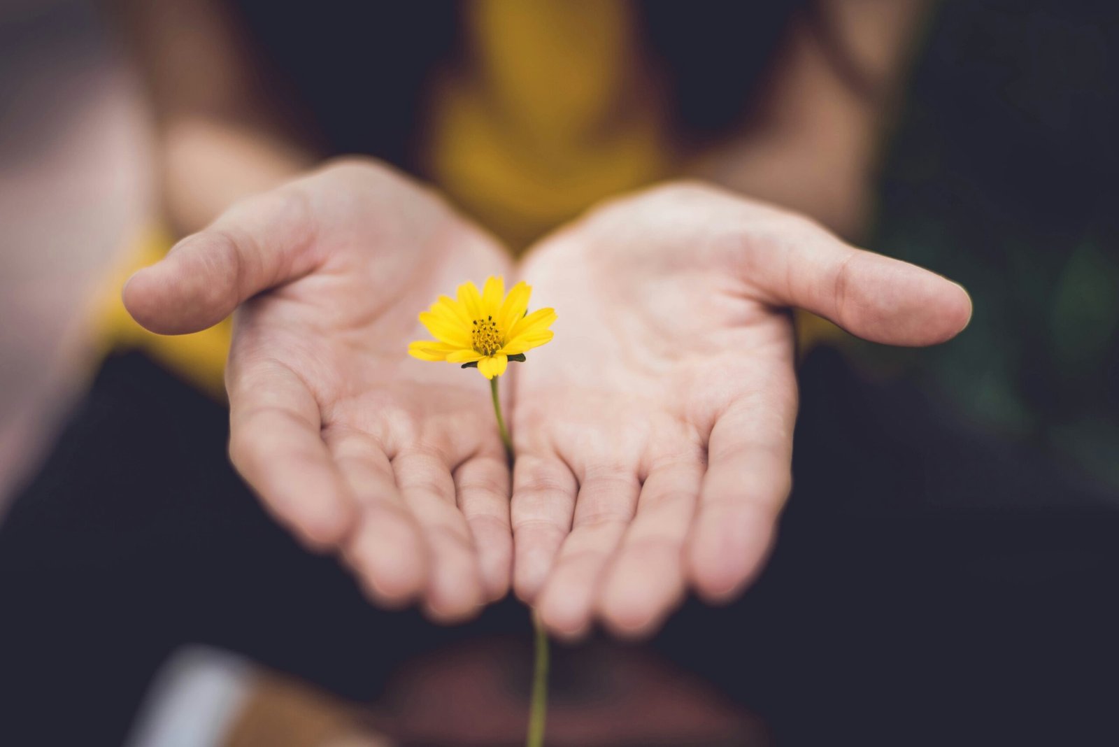 An open hand holding a yellow flower - symbol of psychological support in the in vitro fertilization process